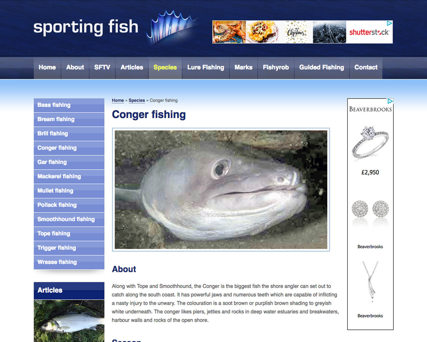 Sporting Fish website